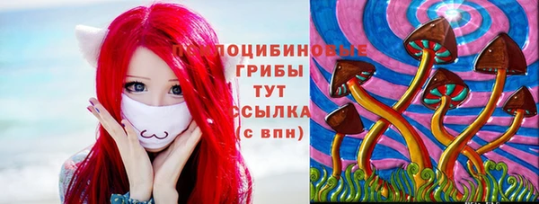 сатива Абинск
