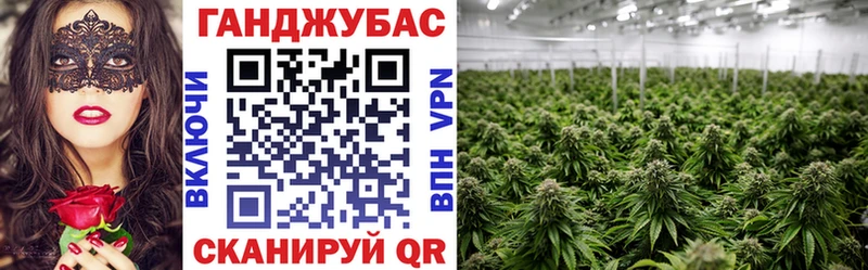 Канабис план  ссылка на мегу как войти  Оренбург 